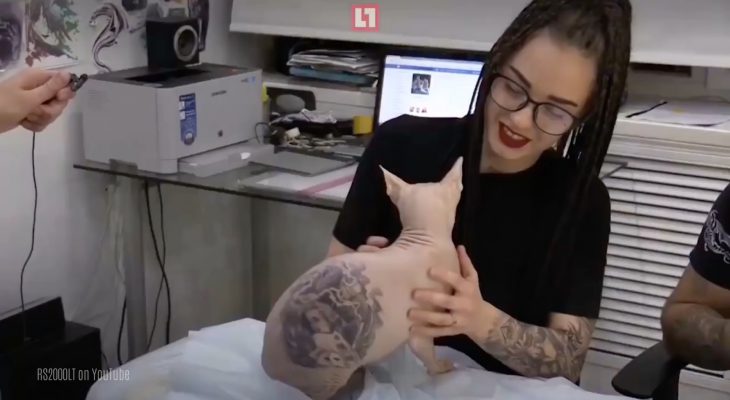 tatouages-chat